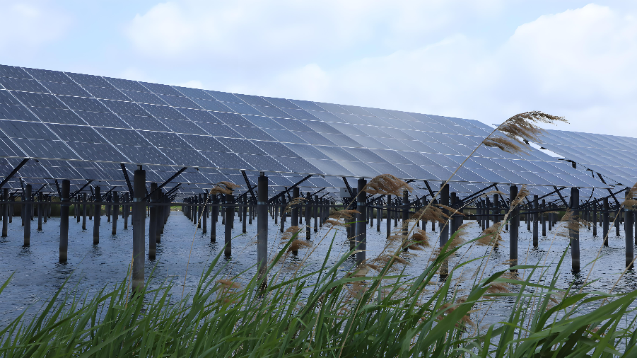 Fishery PV complementary solar mounting system, hot-dip galvanized steel pile bracket installed over fish pond for aquaculture and power generation