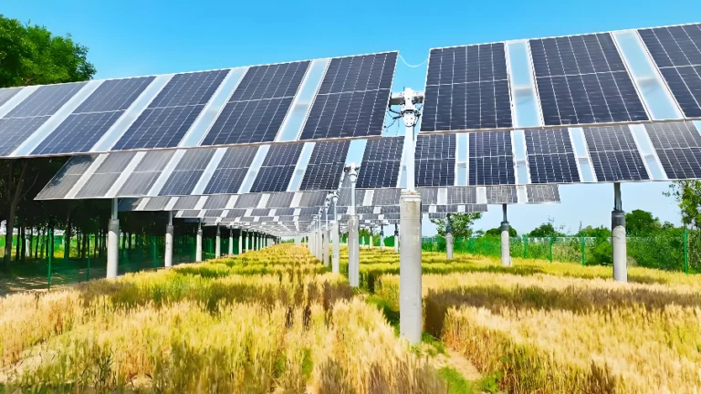 ea7214cc b497 4ff3 a76c d9cc1994c1c5