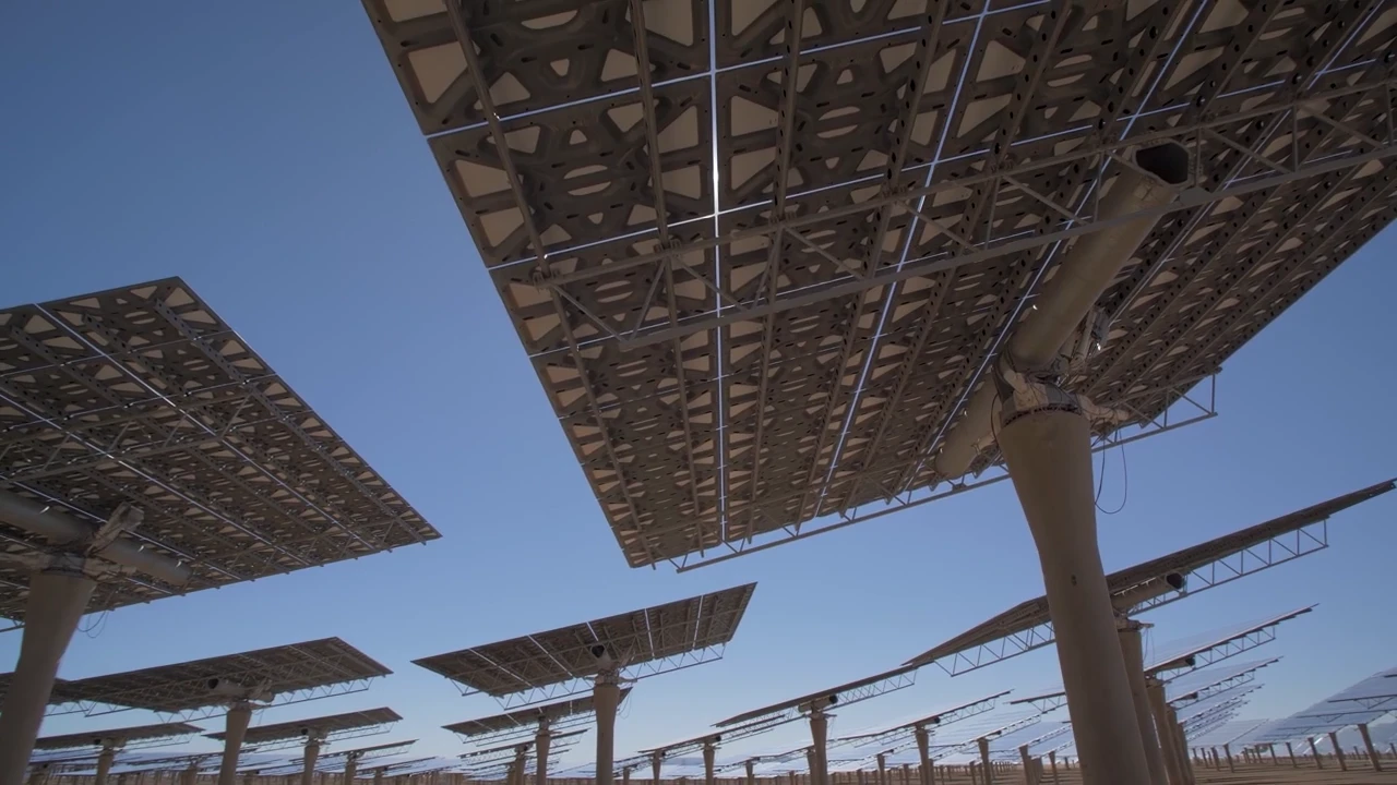 global market experience