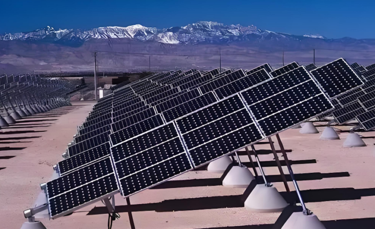 screenshot 2026 01 21 162529 867